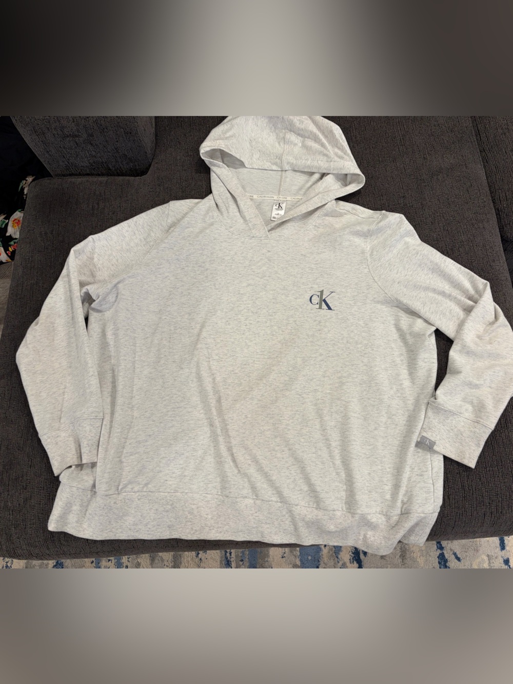 Calvin Klein Light Gray Hooded Sweatshirt with CK Logo